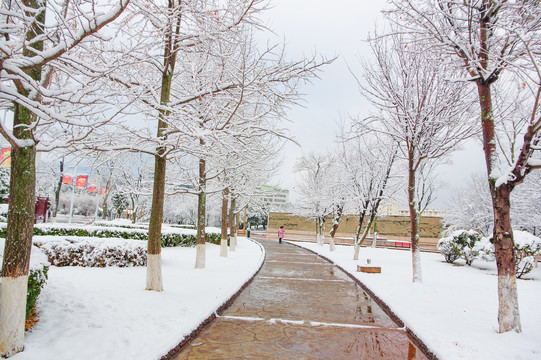 会泽雪景