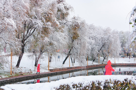 公园雪景