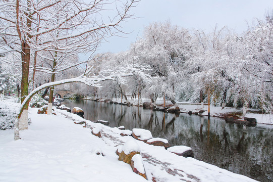 河道雪景风光