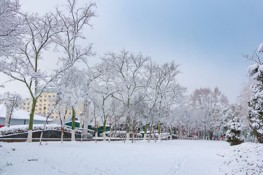 白雪皑皑