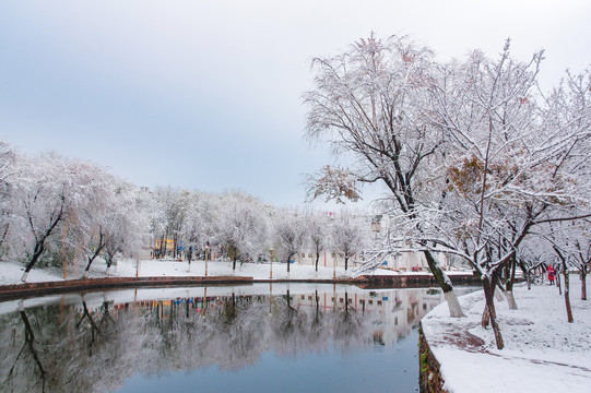 公园雪景