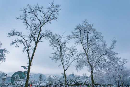 冬季雪景