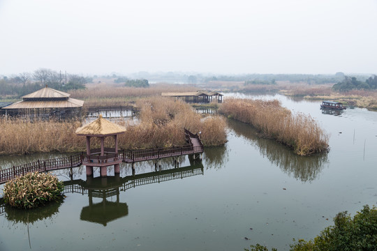 下渚湖湿地