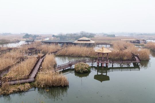 下渚湖湿地