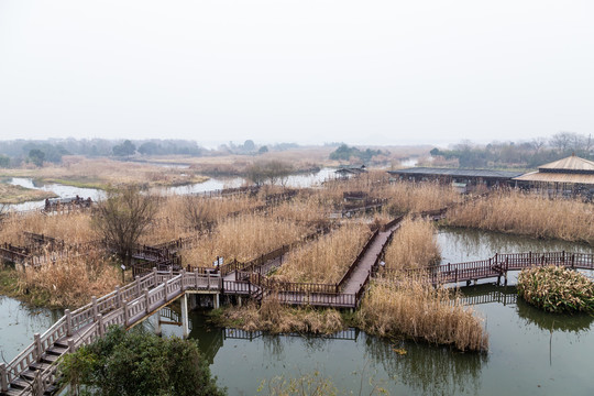 下渚湖湿地