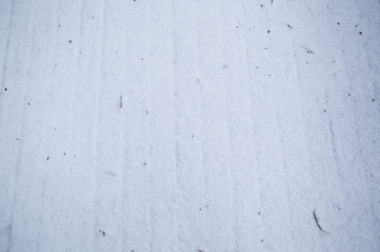 木板上的雪