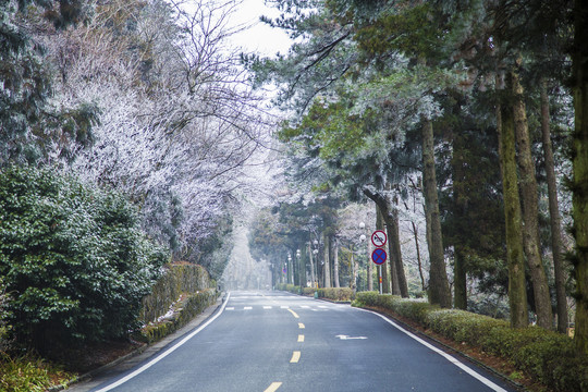 庐山雪景