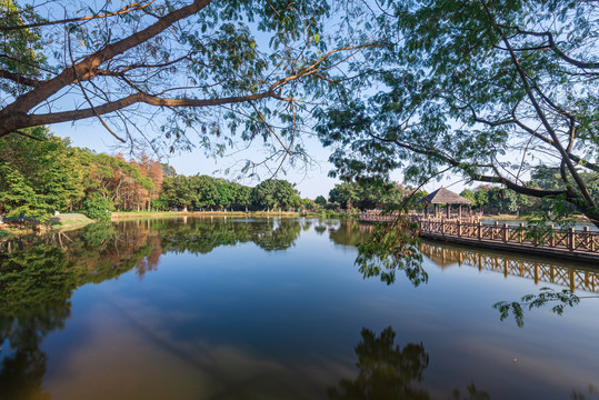 番禺大夫山森林公园山水风景