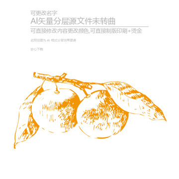 橘速寫子插畫
