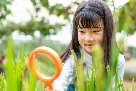 小女孩拿着放大镜观察植物