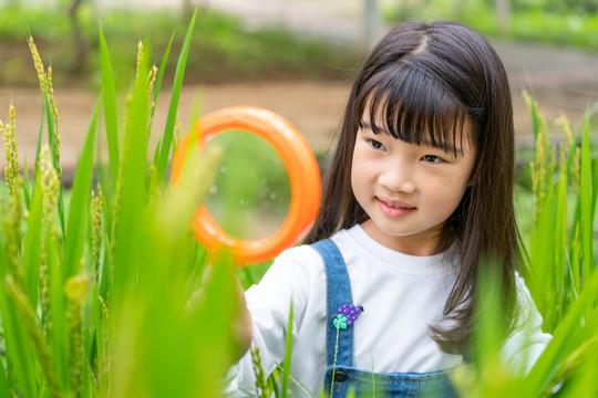 小女孩拿着放大镜观察植物