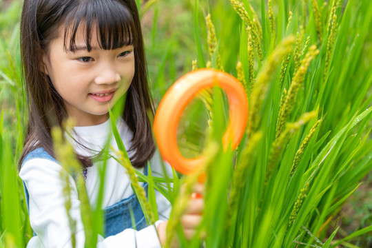 小女孩拿着放大镜观察植物