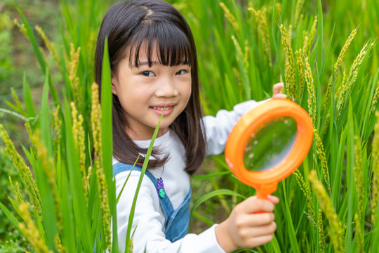 小女孩拿着放大镜观察植物