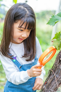 小女孩拿着放大镜观察植物