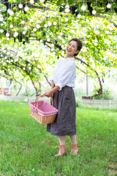 老年女人在果园采摘葡萄