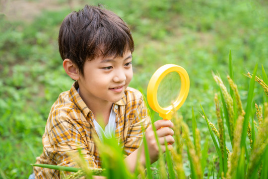 小男孩拿着放大镜观察植物