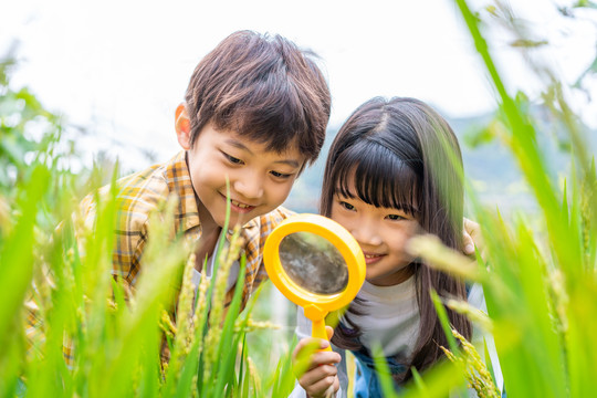 小朋友拿着放大镜观察植物