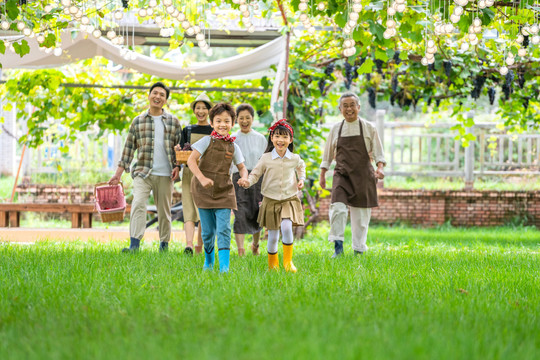 全家人在果园采摘葡萄