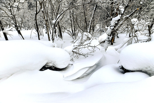 雪地雪景