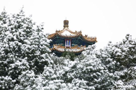 北京景山公园雪景