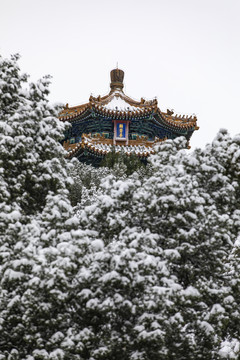 北京景山公园雪景