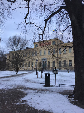 瑞典的国家图书馆
