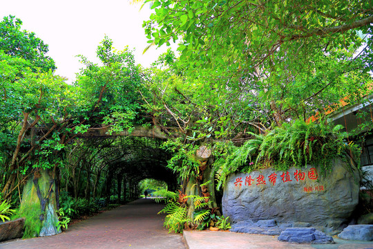 兴隆热带植物园