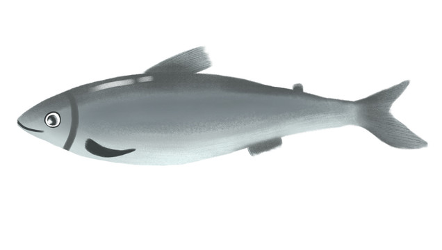 魚