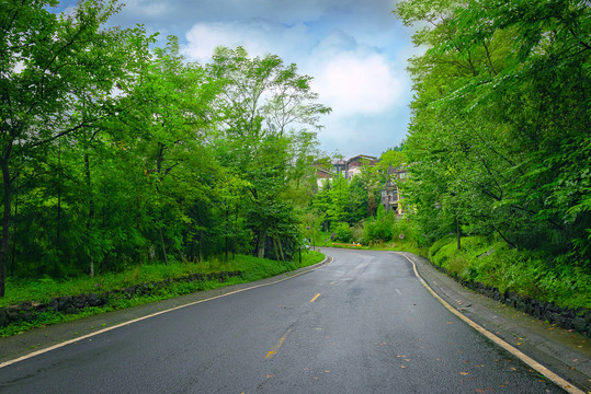 雨后道路