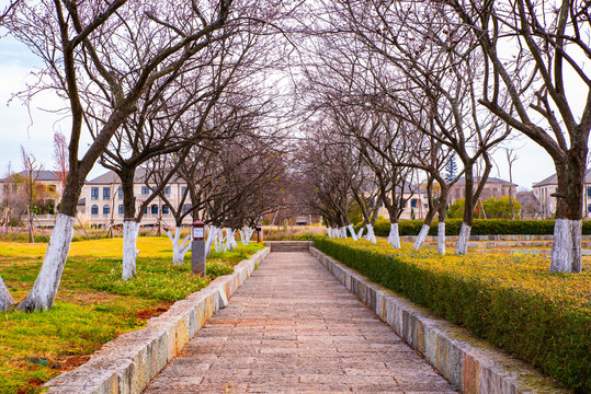 湿地公园小路