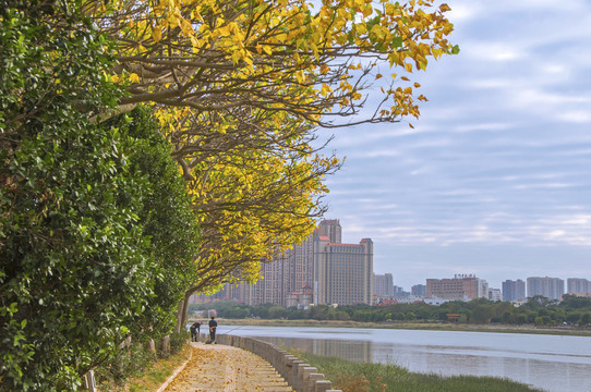 泉州晋江江滨冬天阴天风景