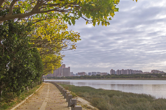 江滨阴天风景