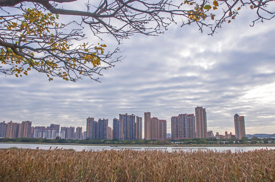 冬日阴天城市江滨风景