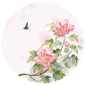 芙蓉插畫