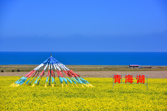 青海湖旅游风光