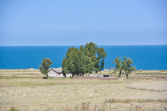 青海湖旅游风光