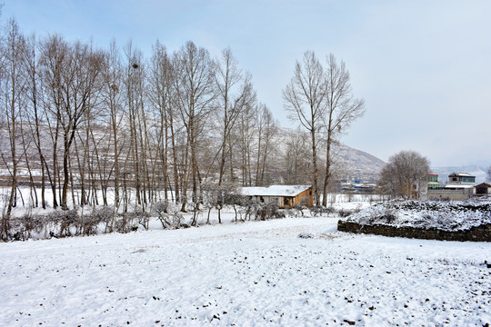 乡村雪霁