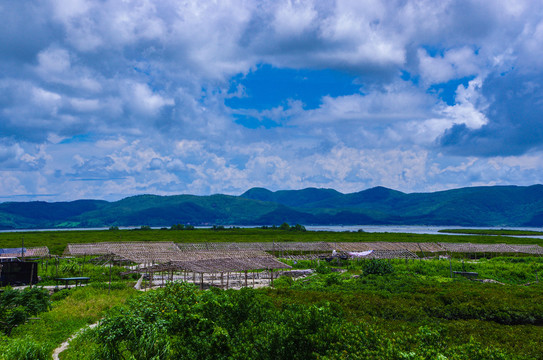 阳西程村