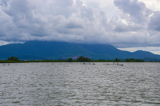 广东阳西程村