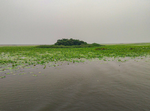 微山湖