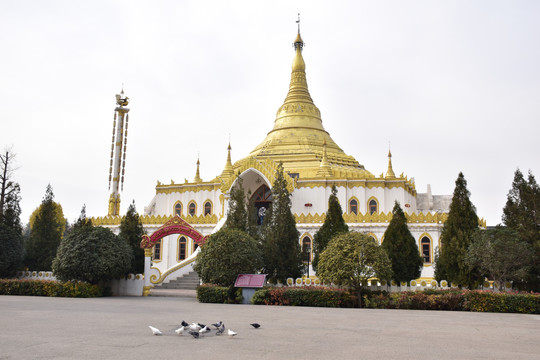 白马寺泰国佛殿苑