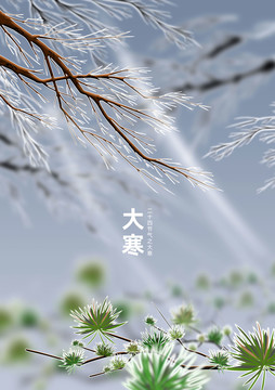 大寒小寒二十四節(jié)氣插畫(huà)海報(bào)