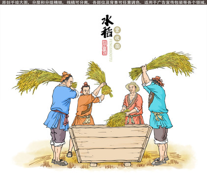 水稻豐收?qǐng)D
