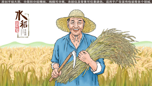老農(nóng)民水稻豐收?qǐng)D