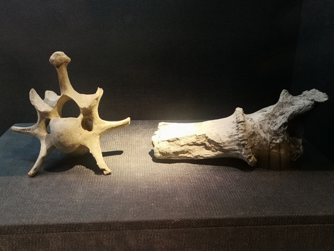新石器时代马家浜遗址动物骨骼