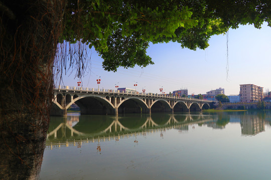 大树小桥风景