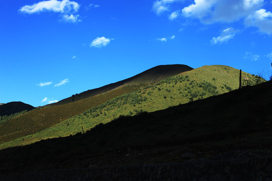 高山草甸