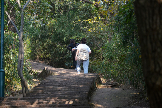 登山