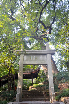 杭州孤山俞樓牌坊