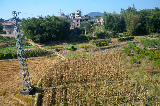 山区房屋